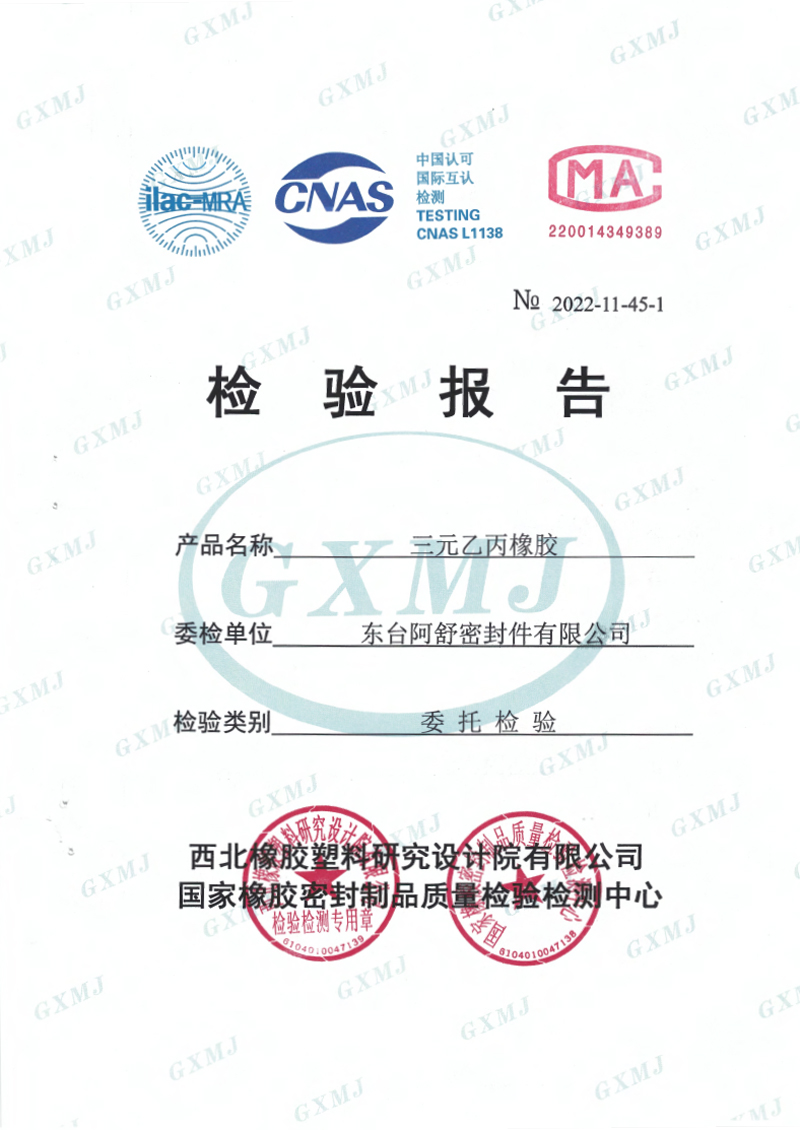 E8005-三元乙丙橡胶性能检测报告-2022-B型试样