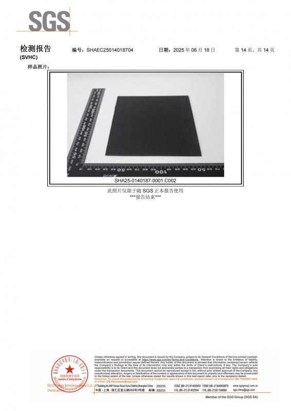 N7501-SVHC-CN-SHAEC25014018704(SHP25-018807)_14