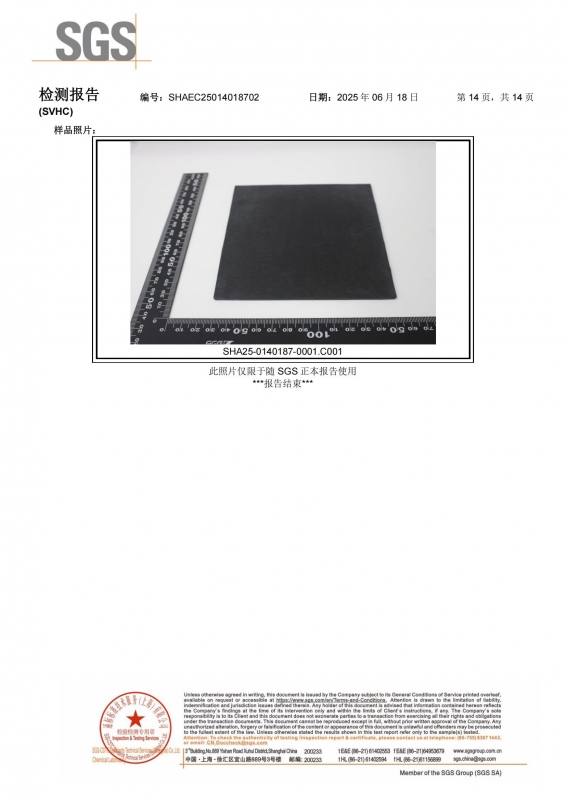 E8001-SVHC-CN-SHAEC25014018702(SHP25-018807)_14