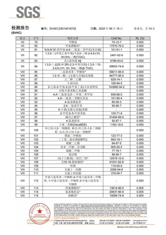 E8001-SVHC-CN-SHAEC25014018702(SHP25-018807)_08
